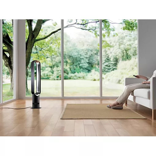 Ventilateur Dyson AM07 White/Satin Silver