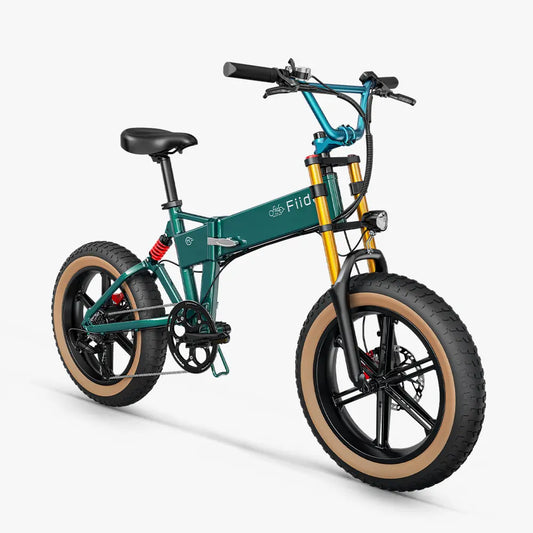 Fiido M1 Pro Vélo électrique Vtt Fatbike Cargo De Gros Pneus