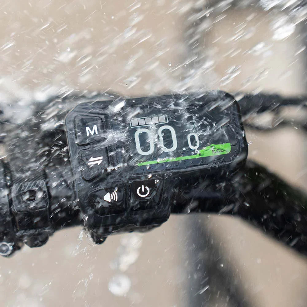Fiido T2 Vélo électrique Longtail Fatbike Cargo