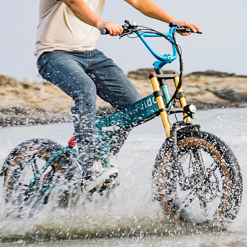 Fiido M1 Pro Vélo électrique Vtt Fatbike Cargo De Gros Pneus