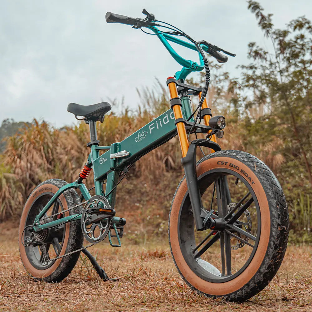 Fiido M1 Pro Vélo électrique Vtt Fatbike Cargo De Gros Pneus