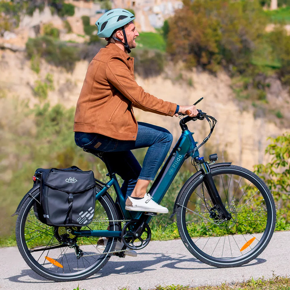 Fiido C11 Pro Vélo Électrique Léger Urbain