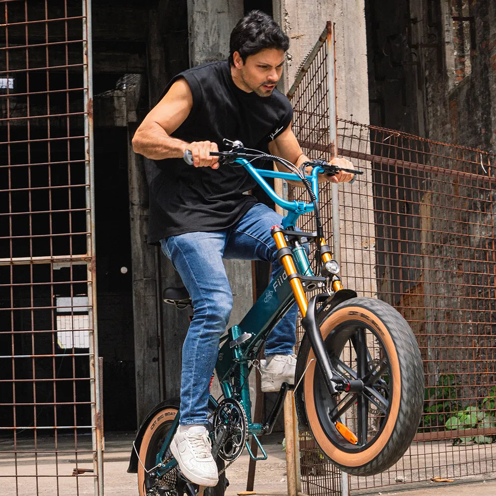 Fiido M1 Pro Vélo électrique Vtt Fatbike Cargo De Gros Pneus