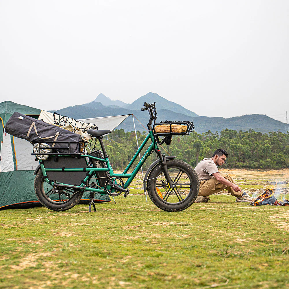 Fiido T2 Vélo électrique Longtail Fatbike Cargo