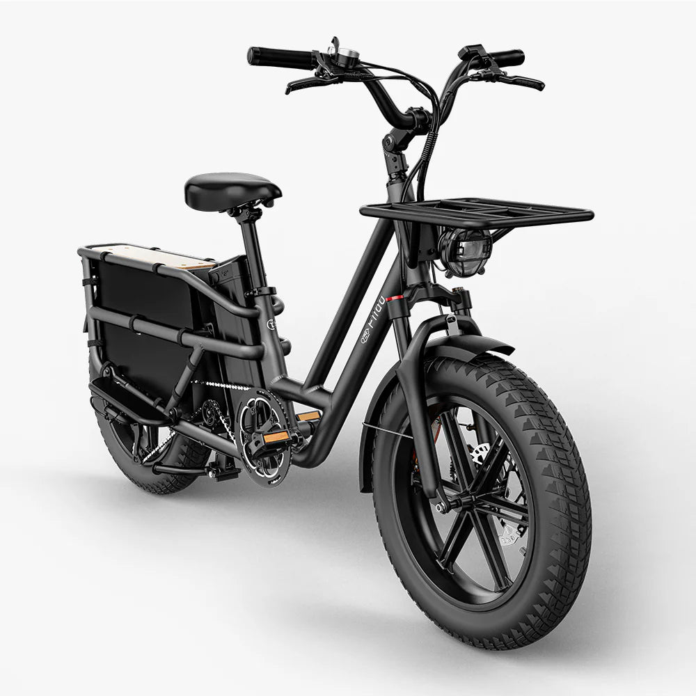 Fiido T2 Vélo électrique Longtail Fatbike Cargo
