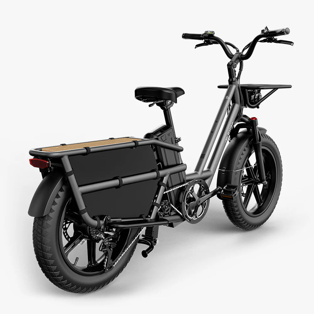 Fiido T2 Vélo électrique Longtail Fatbike Cargo