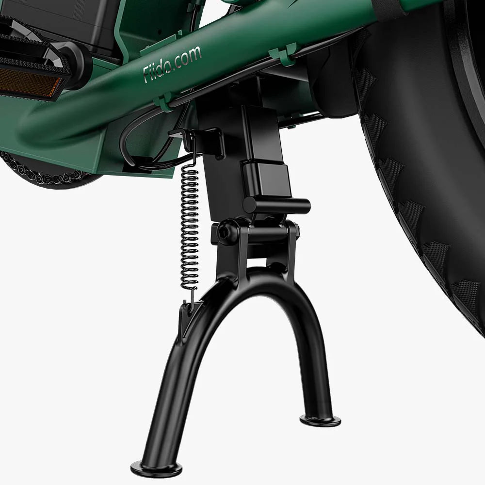 Fiido T2 Vélo électrique Longtail Fatbike Cargo